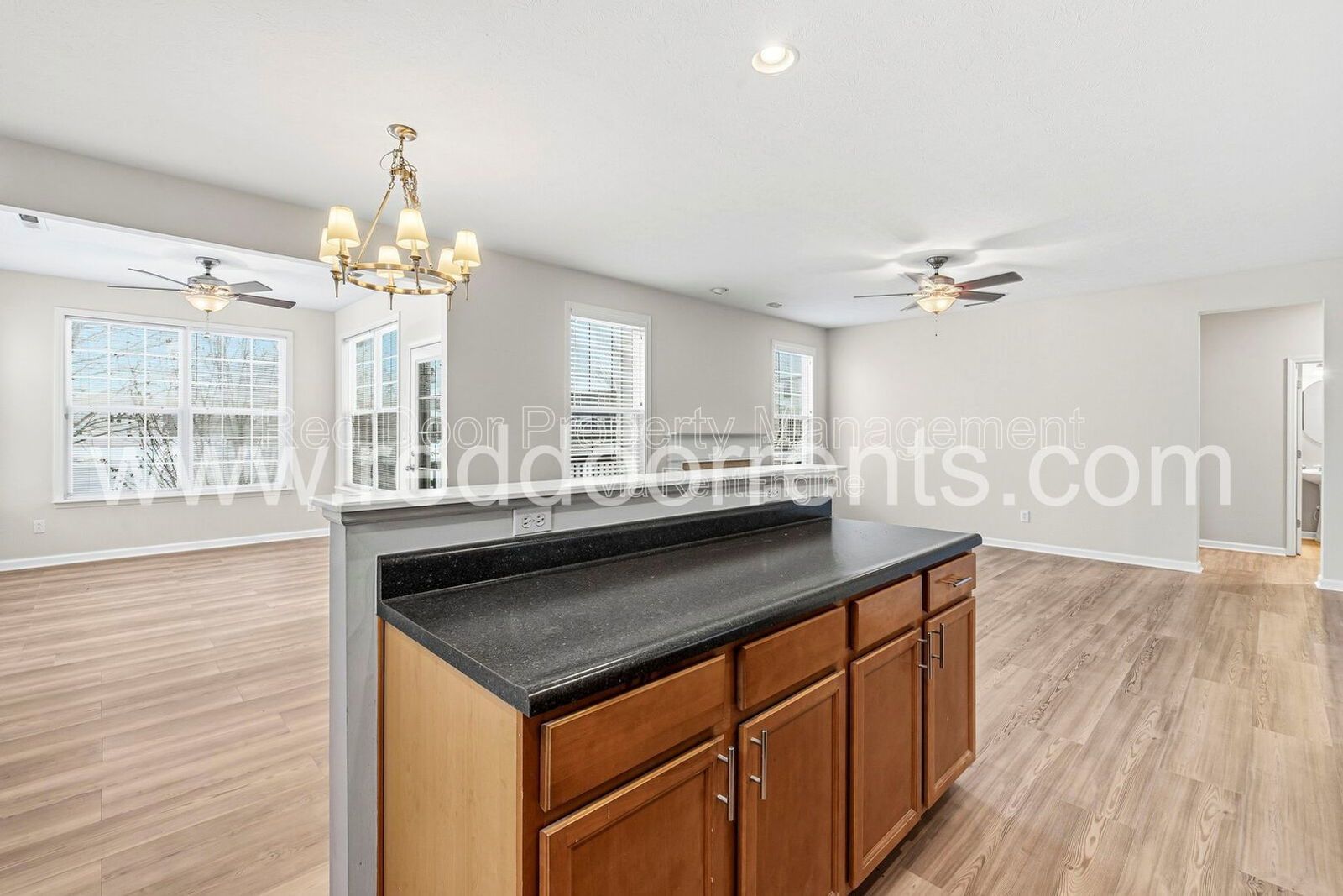 ✨ MOVE-IN SPECIAL: HALF OFF THE FIRST MONTH’S RENT!! ✨ property image