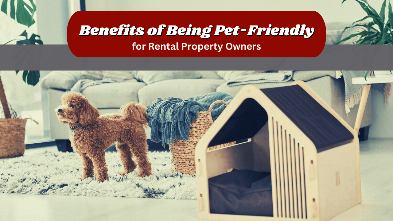 The Benefits of Being Pet-Friendly for Indianapolis Rental Property Owners -  Article Banner