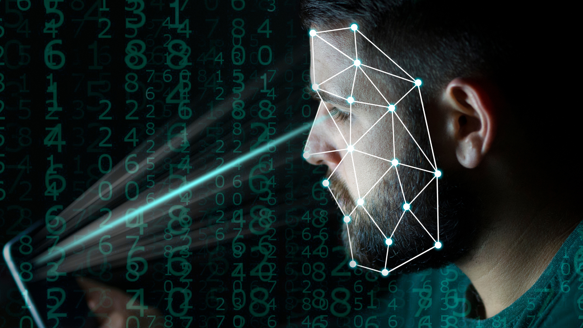 indianapolis-employment-rental-income-verification-process